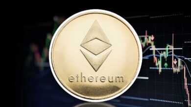 Гарвард инвестировал  млн в Ethereum-ETF — институционалы усиливают позиции