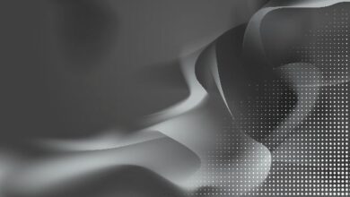 Morph подключается к ликвидности USDT0