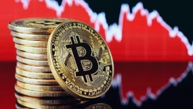 Один из ключевых разработчиков Bitcoin высказался о будущем BTC: «Нам нужно действовать быстро»
