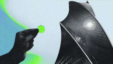 Основателя рухнувшего проекта Zerebro заподозрили в повторной инсценировке самоубийства