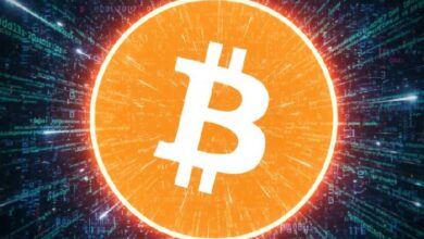 Участники криптосообщества продолжают обсуждать заявления о влиянии Джеффри Эпштейна на разработки Bitcoin Core