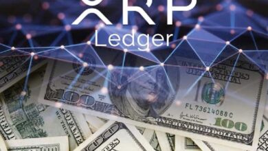 XRP Ledger запустил DEX для регулируемых организаций