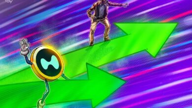 Артур Хэйес спрогнозировал рост токена HYPE до 0 к августу