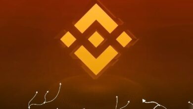 Binance раскрыла детали расследования переводов на связанные с Ираном адреса