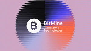 Bitmine запустила MAVAN – платформу для стейкинга ETH институционального уровня