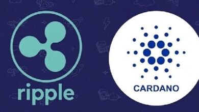 Бывший технический директор Ripple Дэвид Шварц отвечает на заявления основателя Cardano Хоскинсона об XRP и ADA!