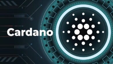 Генеральный директор фонда Cardano (ADA) сделал многообещающие прогнозы относительно будущего ADA!
