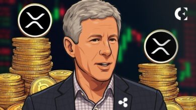 Использовал ли Крис Ларсен некоммерческую организацию для прокачки XRP?