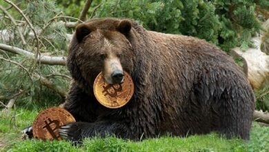 Известный аналитик утверждает, что «падение биткоина еще не закончилось», и раскрывает целевой уровень! В долгосрочной перспективе он прогнозирует рост до 400 000 долларов!