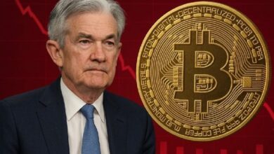 Как завтрашнее решение ФРС по процентным ставкам повлияет на биткоин? Китайская аналитическая компания раскрывает подробности!