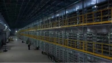 Российская налоговая назвала ожидаемую сумму поступлений от майнеров