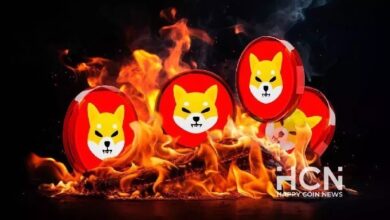 Сжигание 68 млн SHIB и рост Shiba Inu воодушевило сообщество