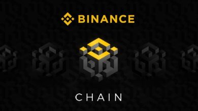 BNB Chain стал крупнейшим блокчейном для ИИ-агентов