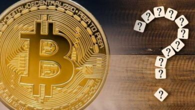 Опубликован список самых популярных криптовалют! В него вошли биткоин (BTC) и пять альткоинов!