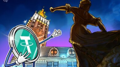 Tether при поддержке правительства Грузии запустит стейблкоин GEL с привязкой к лари
