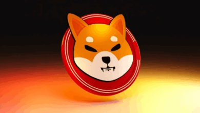 Акции Shiba Inu подскочили на 36% на фоне загадочного ралли, инициированного южнокорейскими трейдерами