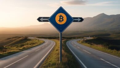 Биткоин (BTC) находится на критическом этапе: две аналитические компании предупредили и представили два ожидаемых сценария развития событий!