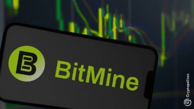 Bitmine покупает Ethereum на дополнительные 36 миллионов долларов на фоне продолжающегося обвала рынка. Почему Том Ли до сих пор этим занимается?