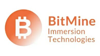 Компания Bitmine докупила эфир на  млн