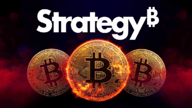 Компания Strategy опубликовала финансовый отчет! Вот ее биткоин-активы