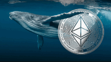 Крупный инвестор в Ethereum продолжает скупать криптовалюту, совершив крупные покупки этой монеты наряду с ETH! Вот подробности