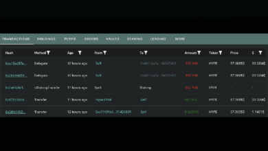 Крупный инвестор вложил 32,87 млн долларов в HYPE, при этом цена токена торгуется на 25 % ниже июньского пика
