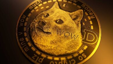 Владелец собаки, символизирующей Dogecoin, высказался о другом альткоине: «Он не имеет к нам никакого отношения»