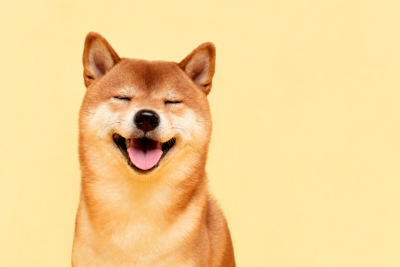 Dogecoin подшутил над «Человеком-пауком»: мемкоину нужны еще 11 таких премьер