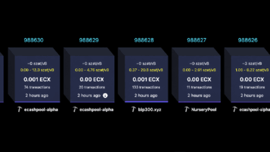 Форк биткоина ECX, созданный Полом Шторцем, преодолел отметку в 25 000 блоков всего за 13 часов