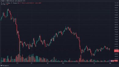 Трейдеры биткоина потеряли 100 млн долларов из-за падения курса BTC на 3 тыс. долларов за 12 часов