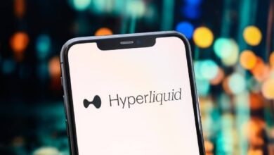 Hyperliquid привлек 429 млн birthday, а цена токена HYPE достигла рекордного уровня в 95 долларов