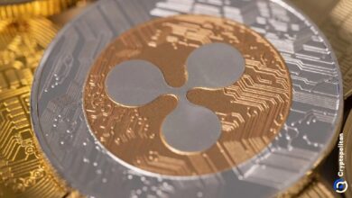 Ripple интегрирует платежи XRP в экосистему агентов искусственного интеллекта Stripe и Tempo в новом комплекте разработчика