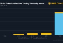 BNB Chain обогнала Solana и Robinhood: объем торгов акциями 25,6 млрд$