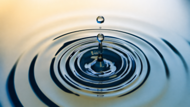 Ripple поддержала инициативу SEC по новым правилам для криптовалют