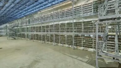 В России сократилось количество майнеров